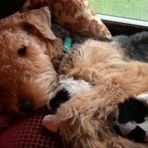 Meet your Posher, Anne